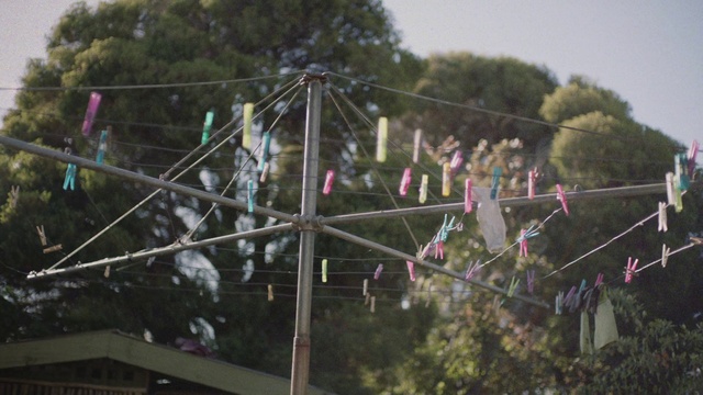 Video Reference: Tree, Plant, Pole, Crowd