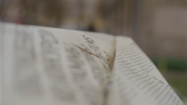 Video Reference: Text, Wood, Close-up, Font, Paper, Person