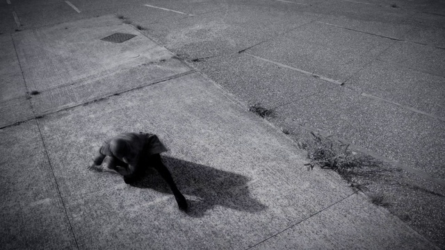 Video Reference: Black, Black-and-white, Snapshot, Dog, Shadow, Monochrome, Canidae, Road surface, Asphalt, Photography