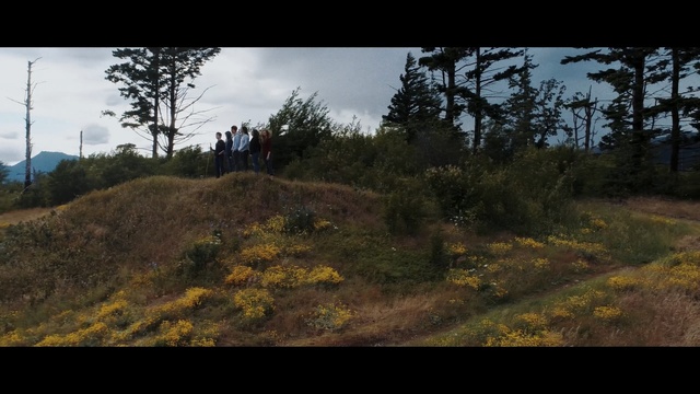 Video Reference: sky, mountainous landforms, tree, hill, wilderness, vegetation, ecosystem, woody plant, path, grass, Person