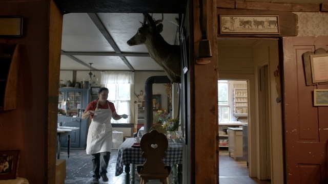 Video Reference: Room, Door, Building, Window, Interior design, House, Fawn