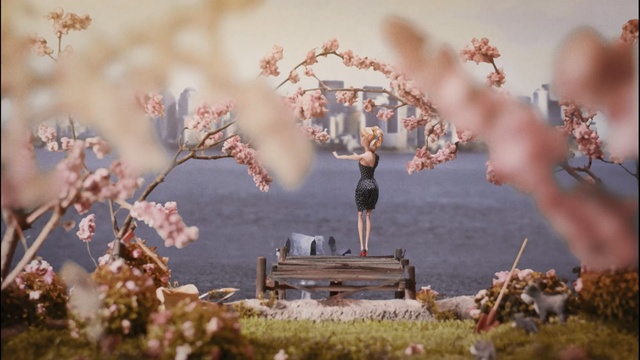 Video Reference: blossom, flower, branch, spring, cherry blossom, tree, sky, plant, twig