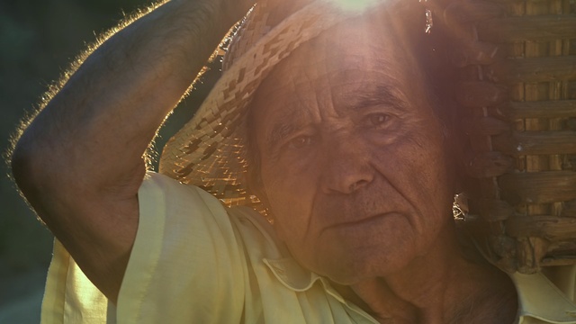 Video Reference: Face, Skin, Head, Lady, Forehead, Nose, Human, Wrinkle, Eye, Smile