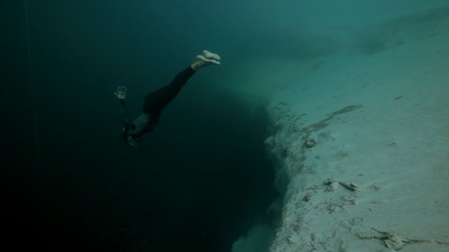 Video Reference: underwater diving, water, underwater, freediving, scuba diving, diving, divemaster, sea, recreation, marine biology