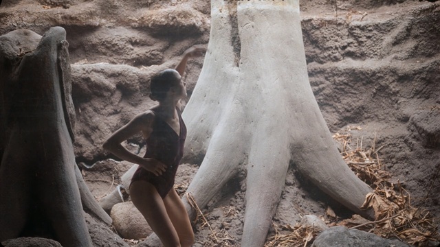 Video Reference: Tree, Rock, Photography, Person