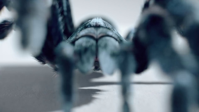 Video Reference: Snapshot, Eye, Photography, Footwear, Black-and-white, Shoe, Fictional character, Black hair