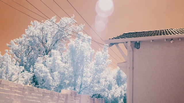 Video Reference: sky, winter, frost, wall, freezing, snow, ice, wood