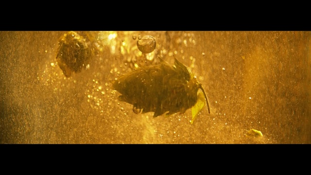 Video Reference: Amber, Yellow, Organism, Water, Macro photography, Gold
