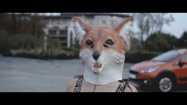 Video Reference: Canidae, Dog, Snout, Carnivore, Companion dog, Dog breed, Shiba inu, Chihuahua, Fawn, Non-Sporting Group, Person