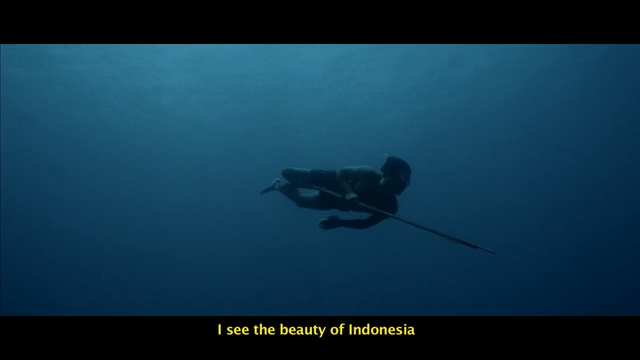 Video Reference: divemaster, underwater diving, underwater, freediving, organism, marine biology, aquanaut, scuba diving, water, screenshot