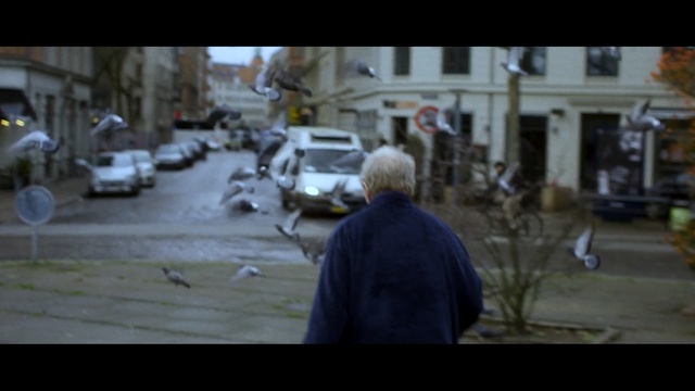Video Reference: car, urban area, street, water, vehicle, tree, screenshot, road, pedestrian, city