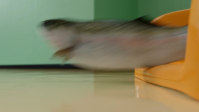 Video Reference: Close-up, Floor, Fish, Flooring, Fin, Tail