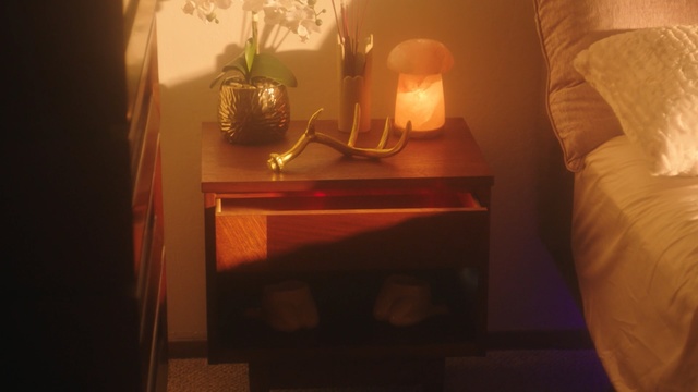 Video Reference: room, light, table, lighting accessory, lighting, lampshade, furniture, light fixture, interior design, lamp