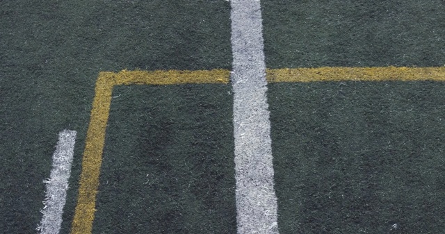 Video Reference: asphalt, yellow, road surface, line, angle, material, lane, grass, tar, font, Person