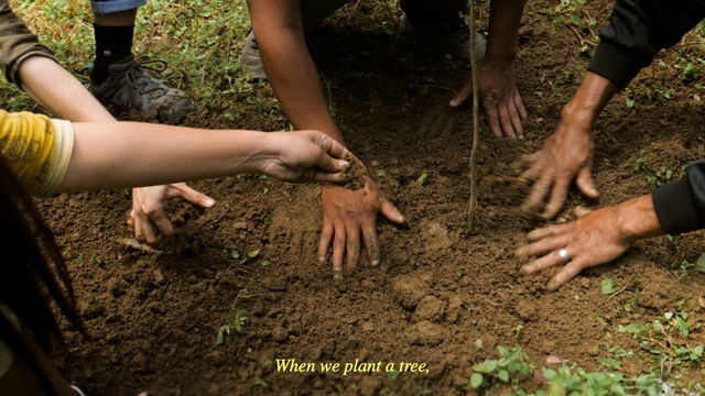 Video Reference: Soil, Adaptation, Sowing, Plant, Hand, Plantation, Agriculture