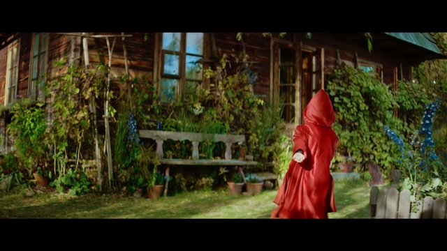 Video Reference: Nature, Photograph, Vegetation, Leaf, Snapshot, Tree, Fun, Garden, Adaptation, Outerwear