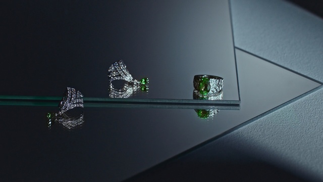 Video Reference: Green, Plant, Fashion accessory