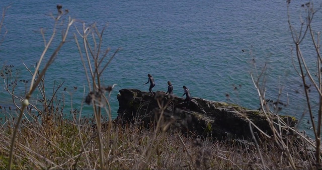 Video Reference: Nature reserve, Grass family, Grass, Sea, Seabird, Coast, Plant, Bird, Water bird, Ocean