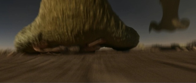 Video Reference: ecosystem, snout, screenshot, ecoregion, foot, landscape, tree, tail