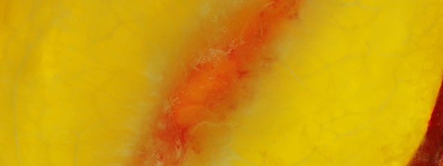 Video Reference: Orange, Yellow, Red, Peach, Fruit, Sitting, Food, Table, Bowl, Hot, Laying, Blurry, Abstract, Painting, Closeup