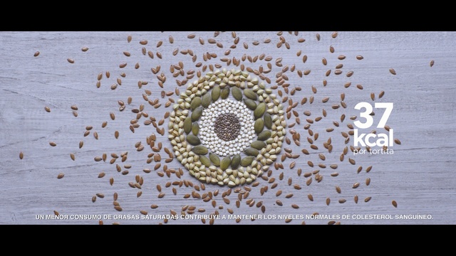 Video Reference: text, organism, font, material, symmetry, circle, pattern