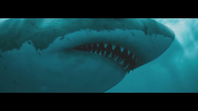 Video Reference: Great white shark, Lamniformes, Shark, Cartilaginous fish, Lamnidae, Fish, Tiger shark, Requiem shark, Marine biology, Sand tiger shark
