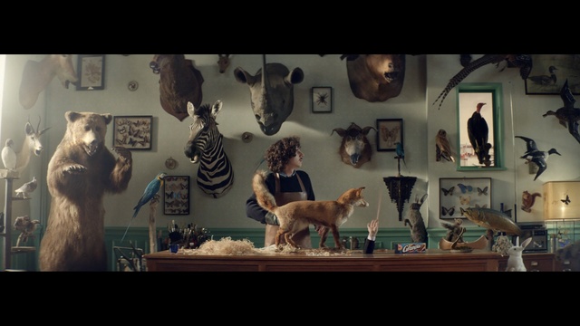 Video Reference: case, Person