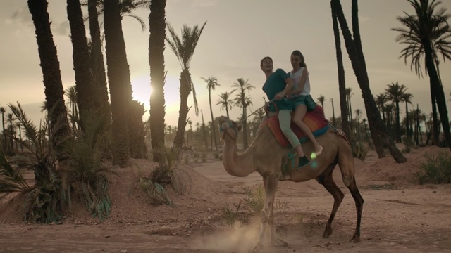 Video Reference: Camel, Arabian camel, Rein, Natural environment, Tree, Landscape, Ecoregion, Camelid, Pack animal, Adaptation, Person