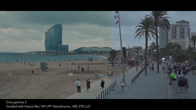 Video Reference: sky, water, urban area, sea, city, structure, daytime, skyline, cloud, skyscraper, Person