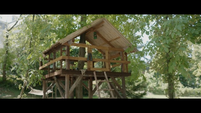 Video Reference: Tree house, House, Tree, Tree stand, Bird feeder, Log cabin, Jungle, Wood, Plant, Outdoor structure