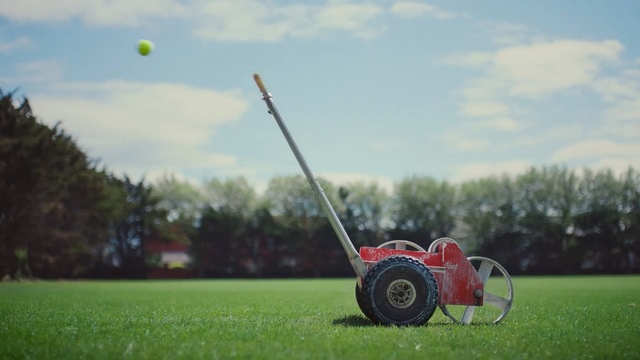Video Reference: lawn, grass, plant, grassland, field, sky, tree, putter, meadow, golf equipment