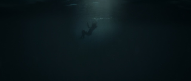 Video Reference: Black, Blue, Underwater, Darkness, Sky, Water, Turquoise, Atmosphere, Organism, Sea