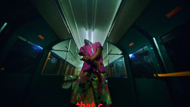 Video Reference: Light, Snapshot, Fun, Flower, Photography, Magenta, Room, Plant, Event, Art