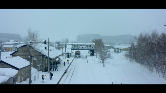 Video Reference: snow, winter, sky, town, tree, freezing, transport, residential area, house, morning, Person