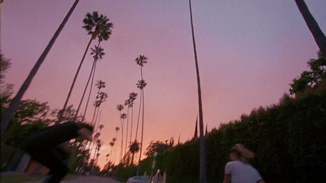 Video Reference: Sky, Tree, Cloud, Pink, Morning, Palm tree, Evening, Fun, Plant, Dusk