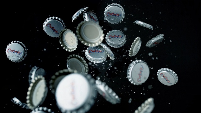 Video Reference: Organism, Circle