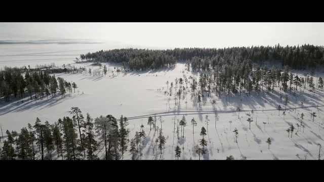 Video Reference: Snow, Winter, Tree, Sky, Freezing, Tundra, Ice, Geological phenomenon, Terrain, Landscape