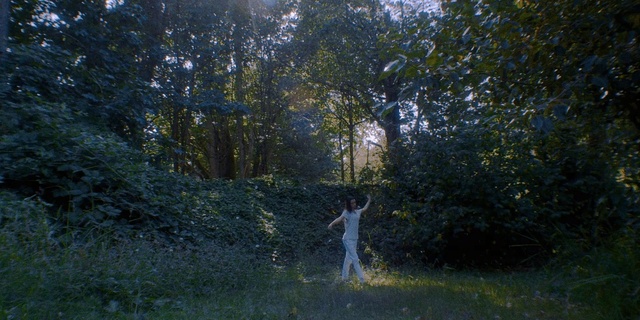 Video Reference: Nature, Water, Tree, Natural environment, Green, Forest, Vegetation, Grass, Nature reserve, Sky