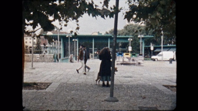 Video Reference: Photograph, Snapshot, Tree, Photography, Human, Black-and-white, Street, Walking, Leisure