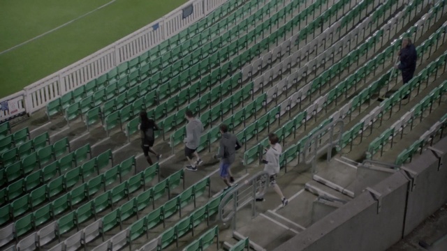 Video Reference: sport venue, structure, stadium, net, arena, material, roof, outdoor structure, metal, grass