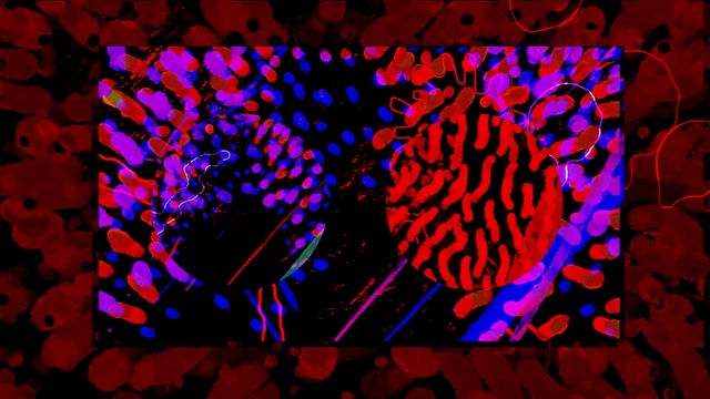Video Reference: purple, art, violet, magenta, pattern, psychedelic art, computer wallpaper, design, fractal art, graphics