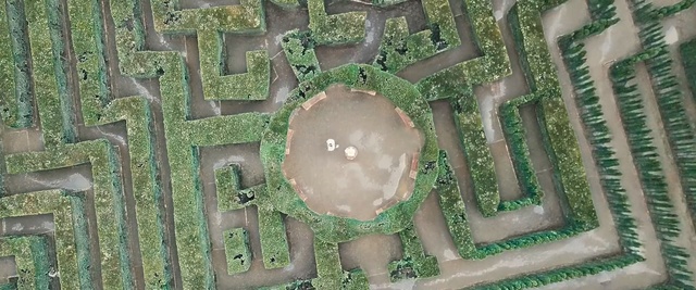 Video Reference: green, biome, grass, tree, outdoor structure, maze, aerial photography