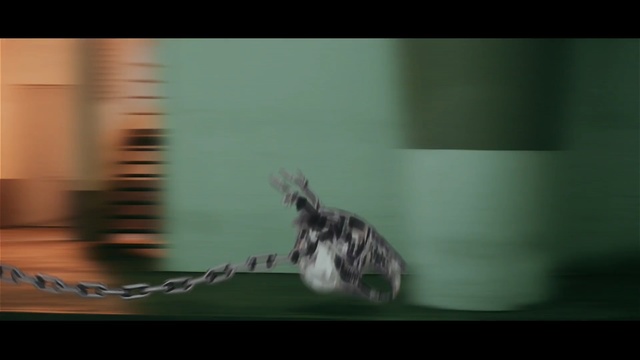 Video Reference: green, fauna, darkness, snapshot, screenshot, photography, close up, organism, wing, macro photography