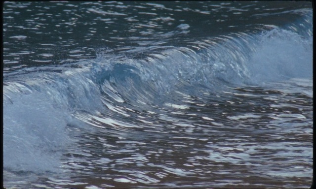Video Reference: Wave, Water, Wind wave, Water resources, Tide, Ocean, Sea, Watercourse, Reflection, Geological phenomenon, Outdoor, Surfing, Man, Riding, Board, Wet, Large, Body, Holding, Bird, Laying, Standing, Swimming, Dog, Beach