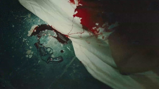 Video Reference: underwater, geological phenomenon, water, organism, marine biology, adventure