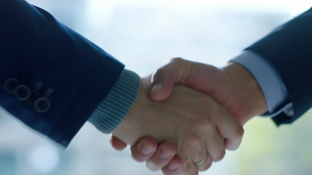 Video Reference: Gesture, Finger, Handshake, Hand, Holding hands, Interaction, Thumb, Collaboration, Wrist, Greeting