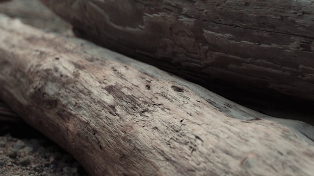 Video Reference: Wood, Rock, Tree, Geology, Trunk, Plant, Driftwood