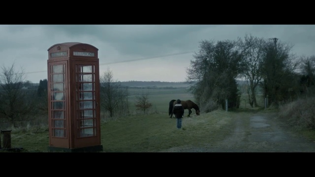 Video Reference: Nature, Photograph, Atmospheric phenomenon, Tree, Natural environment, Rural area, Sky, Snapshot, Horse, Morning