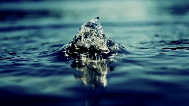 Video Reference: Water, Sea, Ocean, Reflection, Wildlife, Photography