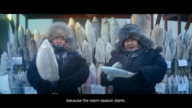 Video Reference: Snapshot, Adaptation, Photography, Fur, Fish, Fish, Photo caption, Person